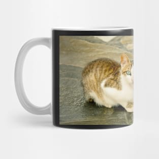 Blue-eyed cat Mug